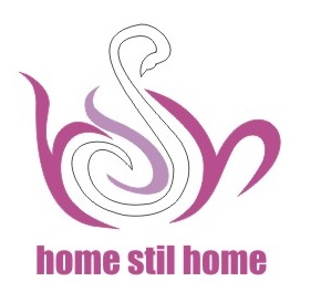 HomeStilHome Marka Logo Çalışması